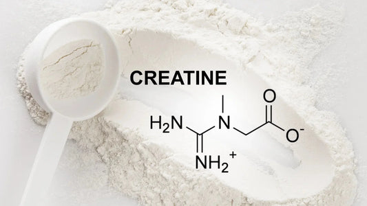 The Benefits of Taking Creatine - Premiumsupps